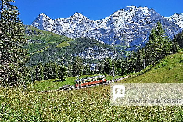 Bergwiese und Mürrenbahn mit Dreigestirn Eiger  Mönch und Jungfrau-Massiv  Mürren  Jungfrau-Region  Berner Oberland  Kanton Bern  UNESCO-Weltnaturerbe  Schweiz  Europa