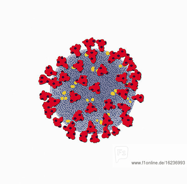 Nahaufnahme des Coronavirus