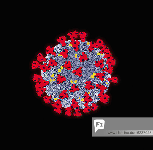 Illustration des Coronavirus
