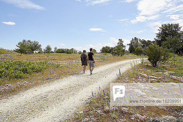 Couple walking together