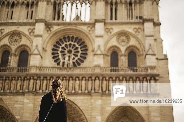 Frau betrachtet die Fassade von Notre Dame de Paris  Paris  Frankreich