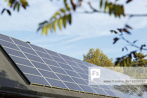 Niedriger Blickwinkel auf Solarmodule auf dem Dach