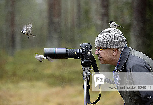 Vögel fliegen um den Fotografen herum