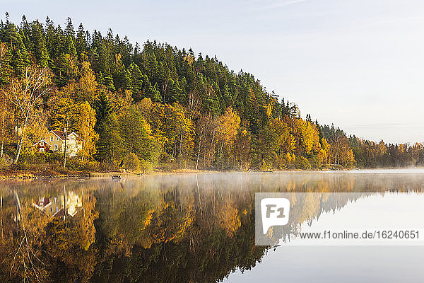 Autumn forest reflecting in lake