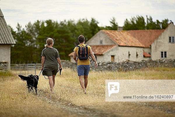 Couple with dog walking