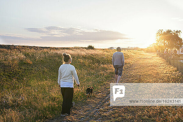 People walking dog at sunset
