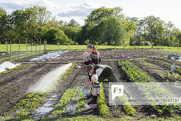 Family working on field