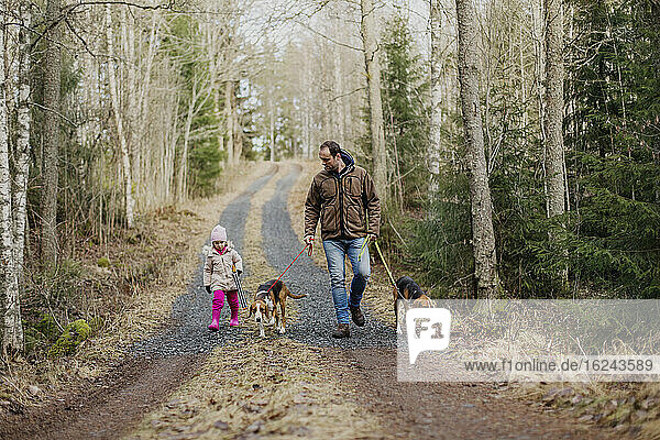 Vater und Tochter gehen mit den Hunden spazieren