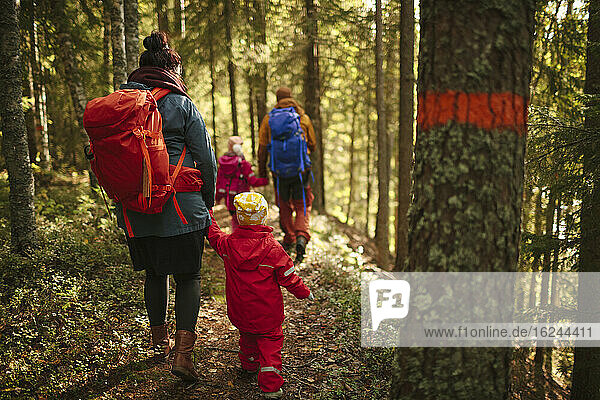 Family walking through forest