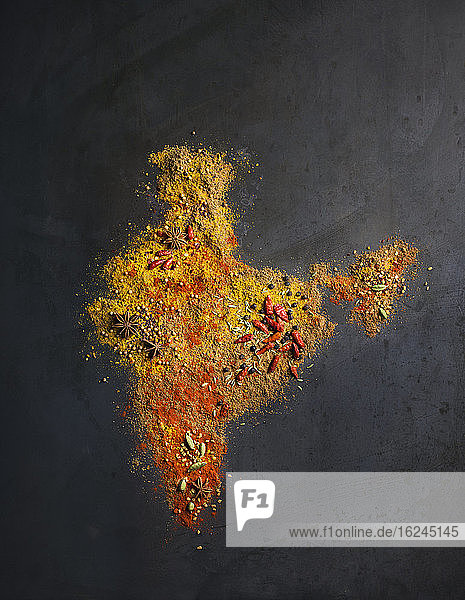 Karte von Indien aus Gewürzen