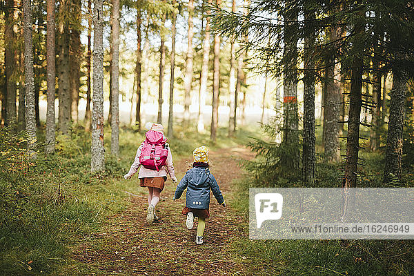 Mädchen gehen durch den Wald