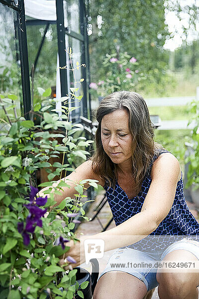 Frau bei der Gartenarbeit vor einem Gewächshaus
