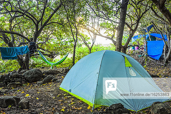 Zeltcamping in Wäldern am Kalalau Beach  Na Pali Coast State Park; Kauai  Hawaii  Vereinigte Staaten von Amerika
