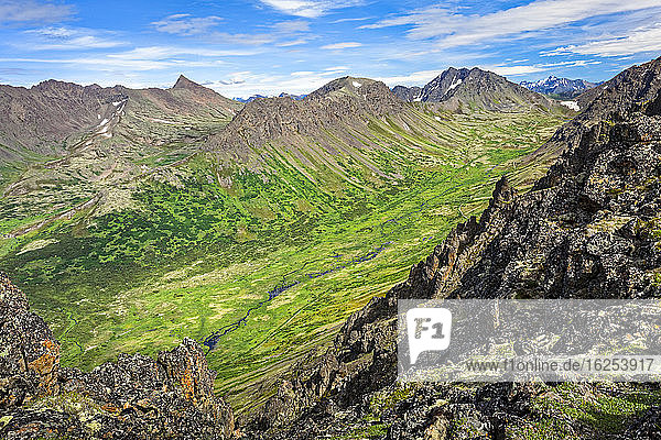 View of Campbell Creek Valley with Chugach Mountains  Chugach State Park  South-central Alaska in summertime; Anchorage  Alaska  United States of America