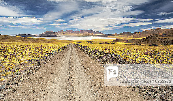 Schotterstraße führt zu einer hochgelegenen Lagune inmitten einer farbenprächtigen Landschaft; San Pedro de Atacama  Antofagasta  Chile