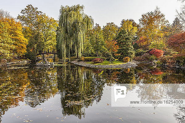 Herbstliche Farben im Japanischen Garten Szczytnicki Park; Breslau Schlesien Polen
