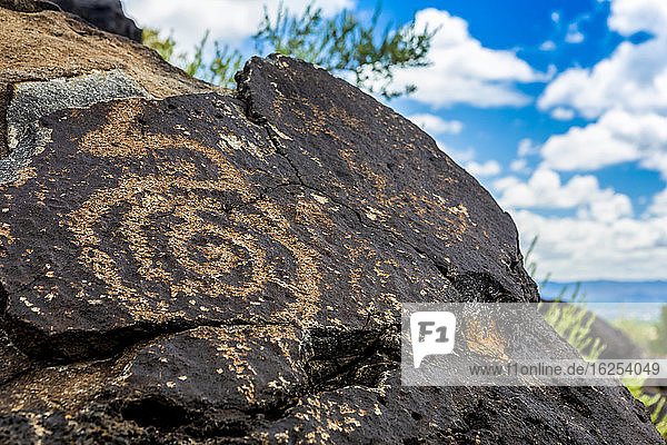 Petroglyphen auf Vulkangestein im Piedras-Marcadas-Canyon  Petroglyphen-Nationaldenkmal an einem sonnigen Frühlingsnachmittag; Albuquerque  New Mexico  Vereinigte Staaten von Amerika