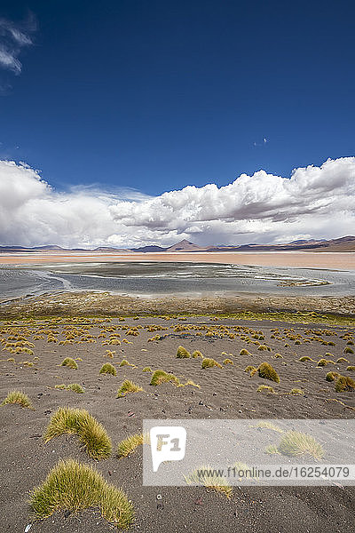 Flamingos an der Laguna Colorada Eduardo-Avaroa-Nationalpark; Abteilung Potosi Bolivien