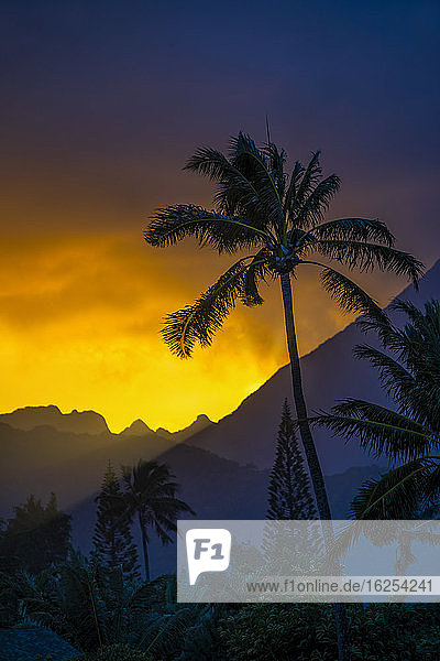 Silhouettierte Palme und Berggipfel bei Sonnenuntergang Ka'elepulu-Kanal; Oahu Hawaii Vereinigte Staaten von Amerika