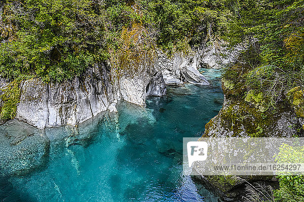 Wandern Sie durch wunderschöne einheimische Wälder und über eine Drehbrücke um das unberührte Wasser der blauen Pools des Makarora-Flusses zu erleben Mount Aspiring National Park; Wanaka Otago Region Neuseeland