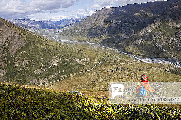 Female hiker wearing orange rain coat and blue backpack take in the bird's-eye view of the surrounding mountains and Marsh Fork river and tributaries below  Brooks Range  Arctic National Wildlife Refuge  Alaska on a sunny summer day; Alaska  United States of America