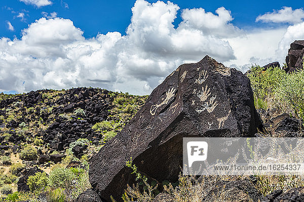 Petroglyphen auf Vulkangestein mit Salbeibusch im Piedras-Marcadas-Canyon  Petroglyphen-Nationaldenkmal an einem sonnigen Frühlingsnachmittag; Albuquerque  New Mexico  Vereinigte Staaten von Amerika