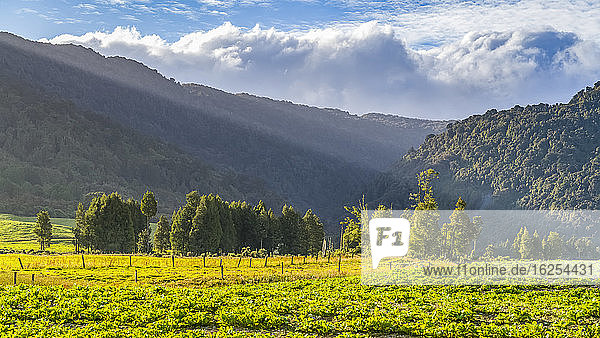 Üppiges Ackerland auf Totara Flat  dem Zentrum der Landwirtschaft in der Grafschaft Grey County; Südinsel  Neuseeland