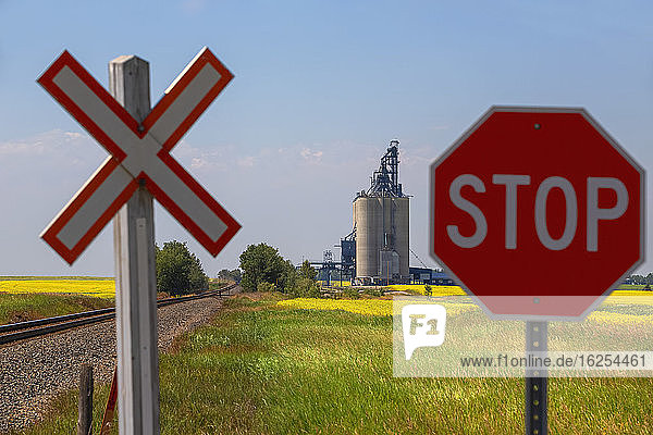Nahaufnahme eines Stoppschildes und eines Bahnübergangsschildes mit Getreideterminal und Zuggleisen im Hintergrund für den Transport von Getreide auf Güterzügen; Alberta  Kanada