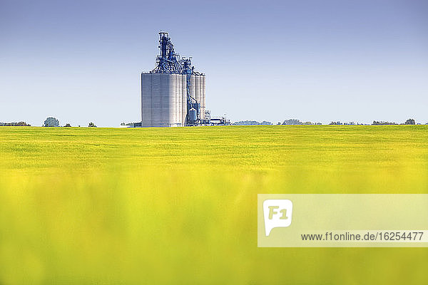 Verschwommenes Rapsfeld vor einem automatisierten Getreideterminal mit Lagersilos für die Verladung von Getreide auf Güterzüge für den Export; Alberta Kanada