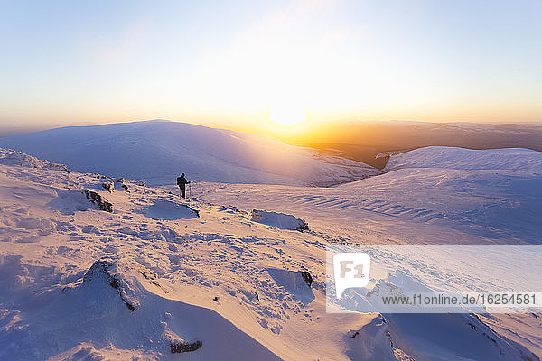Ein einsamer Mann wandert bei Sonnenaufgang die schneebedeckten Hänge der Galty-Berge hinunter; Grafschaft Tipperary  Irland