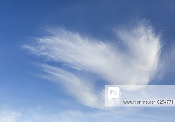 Nahaufnahme von wolkenverhangenen Zirruswolken am blauen Himmel; Britisch-Kolumbien  Kanada