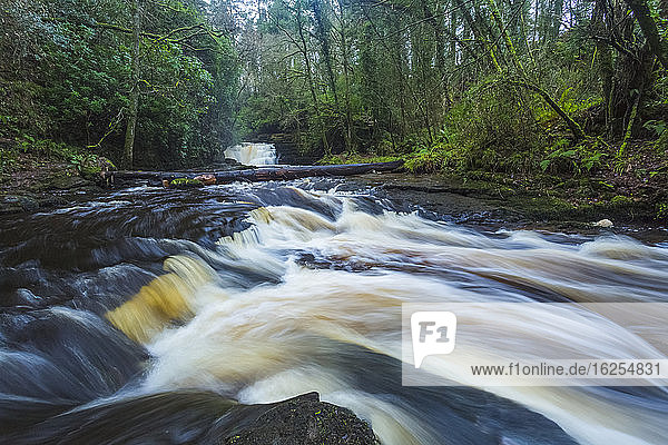 Kaskaden des Flusses Clare Glens an einem wolkigen  launischen Tag; Grafschaft Tipperary  Irland