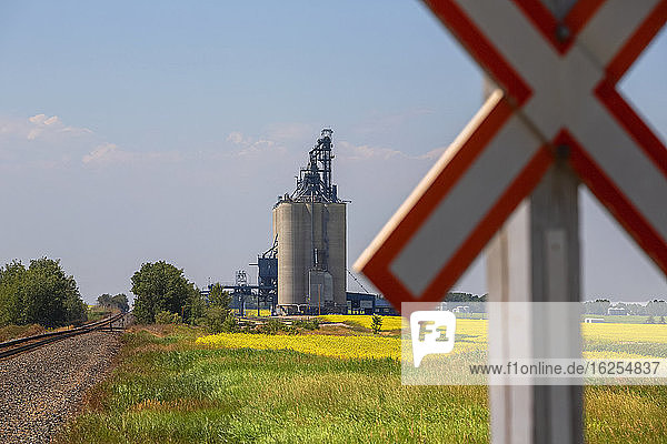Nahaufnahme des Bahnübergangsschildes und des Getreideterminals im Hintergrund mit Silos und Behältern für die Verladung von Getreidepflanzen auf Güterzüge für den Export; Alberta Kanada