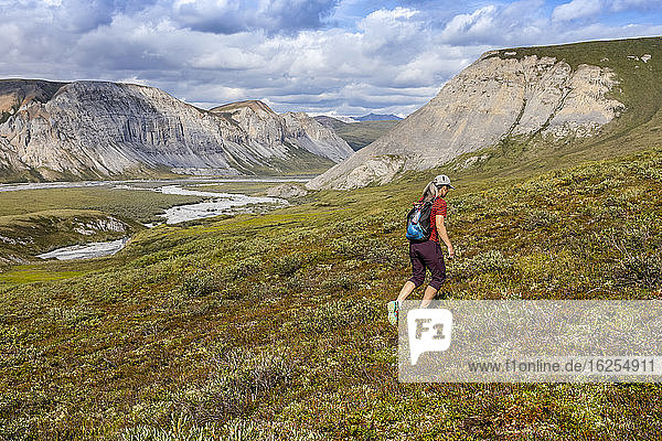 Kaukasische Frau in den 50er Jahren beim Wandern in der Brooks Range in der Tundra  mit einem Bach und Bergen im Hintergrund an einem sonnigen Sommertag  Marsh Fork Valley  Arctic National Wildlife Refuge; Alaska  Vereinigte Staaten von Amerika
