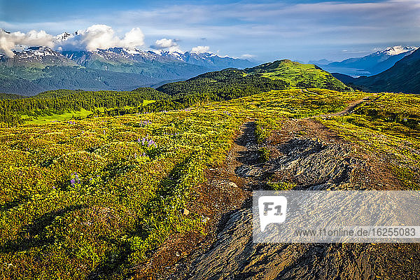 Landschaft mit tundrabedeckten Felsblöcken entlang des Lost Lake mit den schneebedeckten Chugach-Bergen im Hintergrund. Chugach National Forest  Kenai-Halbinsel  Süd-Zentral-Alaska im Sommer; Seward  Alaska  Vereinigte Staaten von Amerika