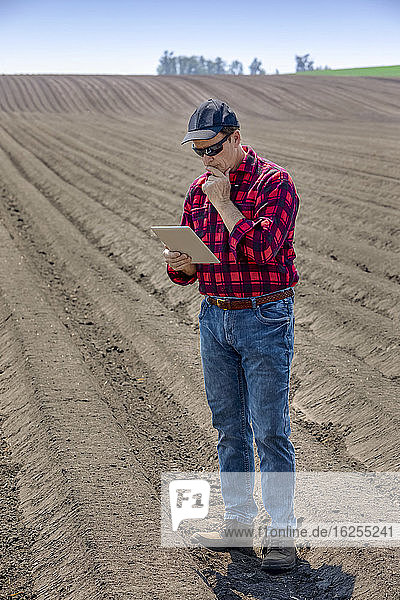 Ein Landwirt steht mit einer Tablette auf frisch bestelltem Ackerland; Alberta  Kanada