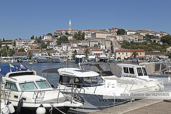 Boote im Hafen  Vrsar  Istrien  Kroatien  Europa