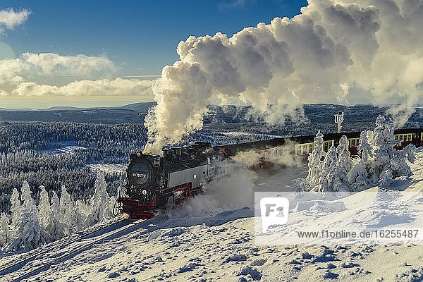 Brockenbahn fährt durch verschneite Landschaft auf den Brocken,  Dampflok,  Winter,  Schnee,  Harz,  Berg,  Schierke,  Sachsen-Anhalt,  Deutschland,  Europa