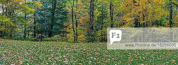 Herbstliche Szenerie im Great Smoky Mountains National Park.