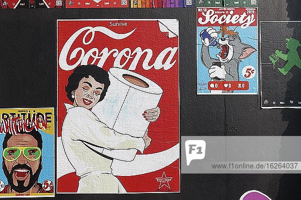 Corona  Frau umarmt Toilettenpapierrolle  satirisches Poster von Streetartkünstler R.F.Art  Düsseldorf  Nordrhein-Westfalen  Deutschland  Europa