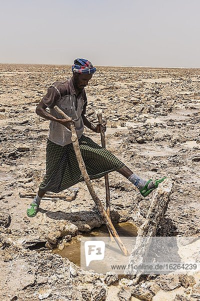Afar Nomade beim Ausschneiden und Hochheben von Salzplatten  trockener Salzsee  bei Dallol  Danakil-Depression  Afar Region  Äthiopien  Afrika