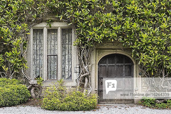 Alte mit Pflanzen eingewachsene Fassade mit Holztür und Fenster  Lanhydrock House  National Trust  Bodmin  Cornwall  Grossbritannien