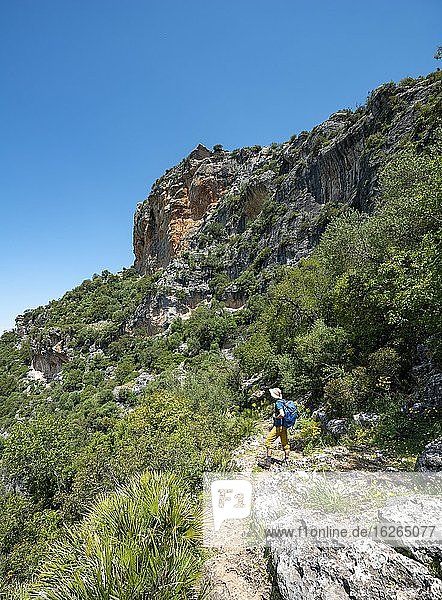 Wanderer auf einem Wanderweg  Die Grüne Schlucht  Garganta Verde  Sierra de Cádiz  Provinz Cádiz  Spanien  Europa