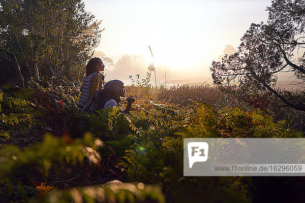Serene young couple with binoculars in nature at sunset