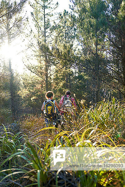 Junges Paar mit Rucksäcken wandert im hohen Gras in sonnigen Wäldern