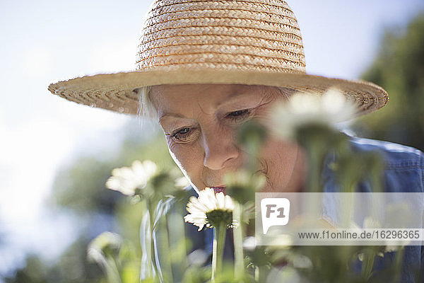 Nahaufnahme einer älteren Frau mit Strohhut  die Blumen im Garten riecht