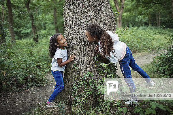 Süße Schwestern spielen am Baumstamm im Wald