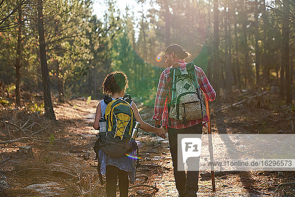 Junges Paar wandert mit Rucksäcken in sonnigen Sommerwäldern