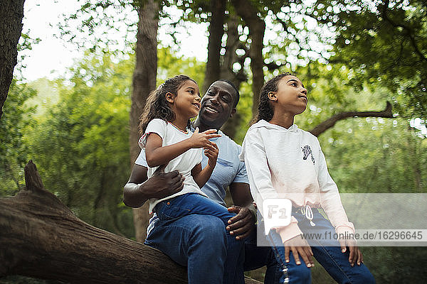 Glücklicher Vater und glückliche Töchter sprechen unter Bäumen im Wald