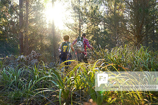 Young couple with backpacks hiking in sunny tall grass in woods
